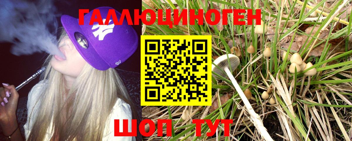 Галлюциногенные грибы прущие грибы Моздок