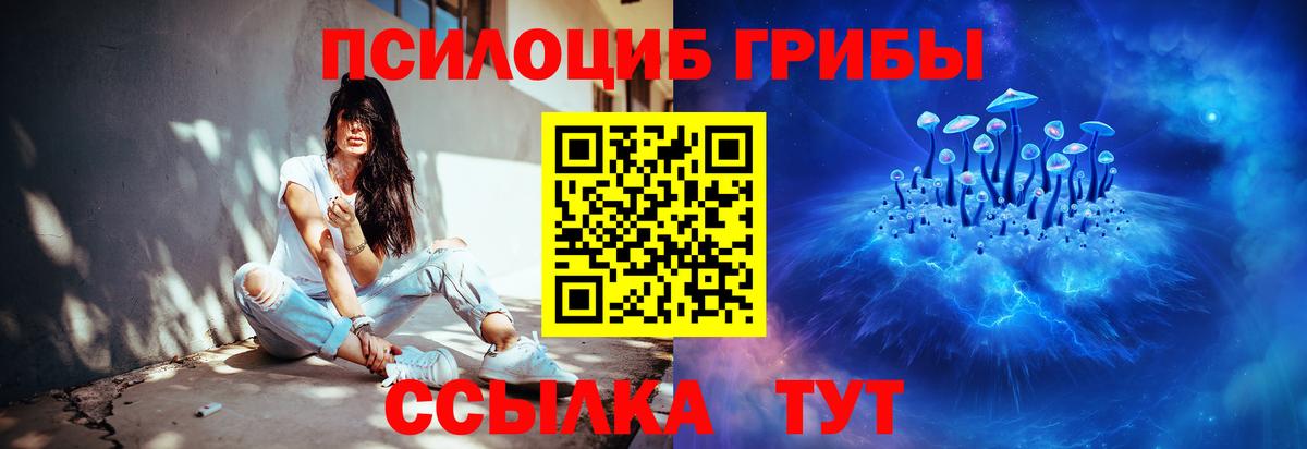Моздок  Псилоцибиновые грибы прущие грибы  Вход с VPN  цены наркотик  Галлюциногенные грибы Cubensis 